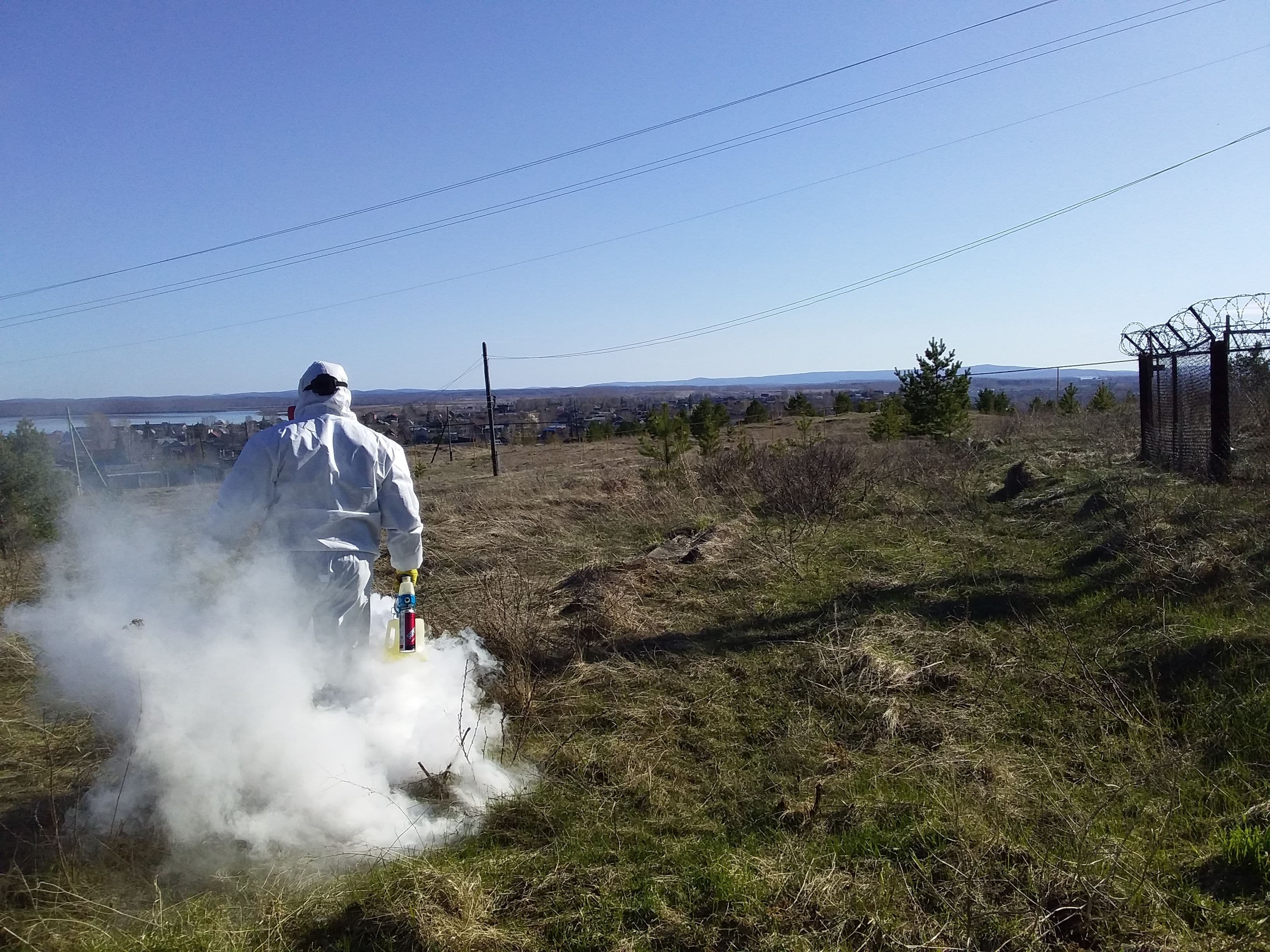 Травля насекомых