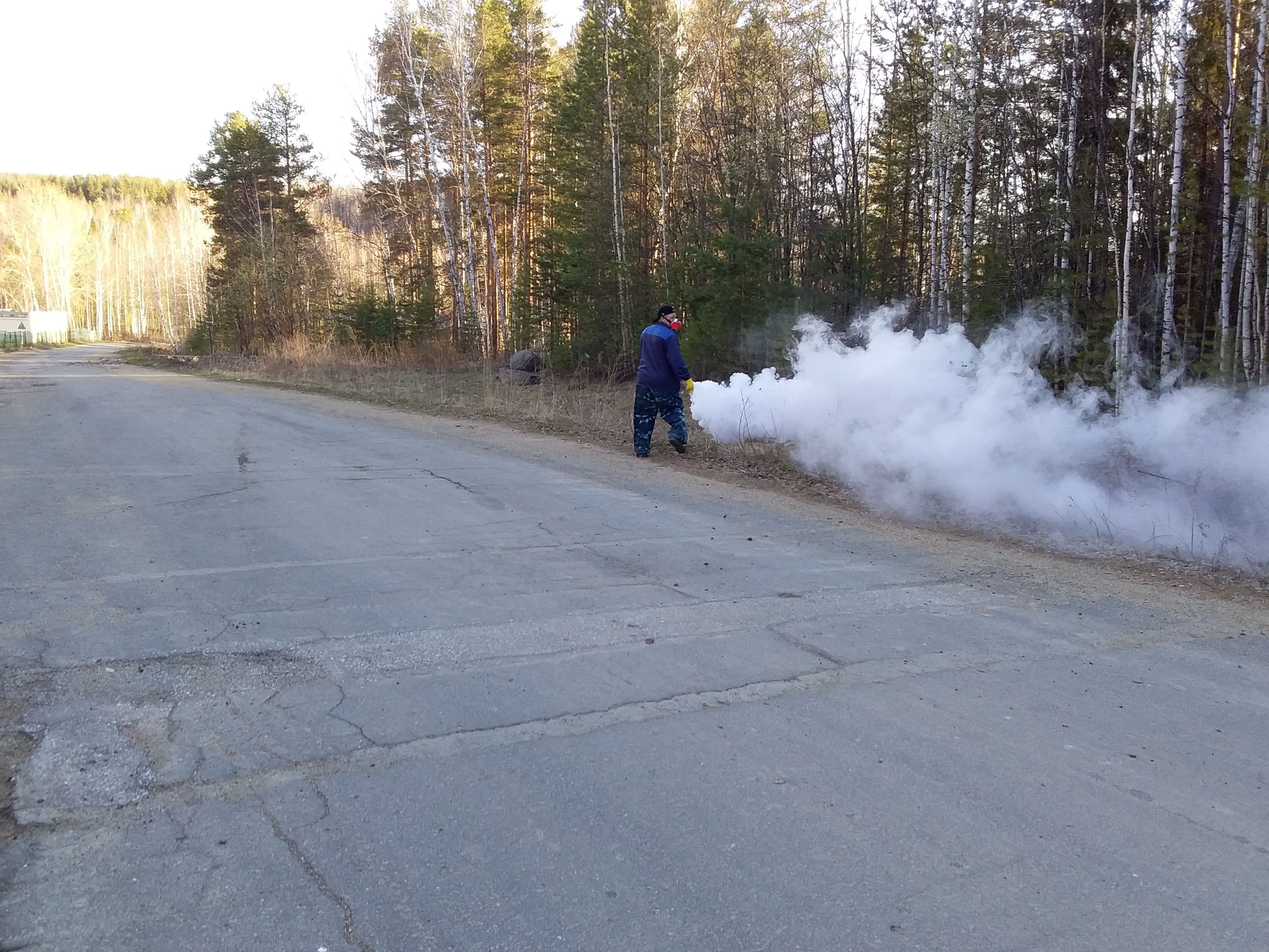 обработка от клешей туманом