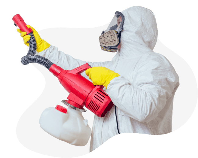 дезинсектор